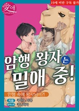 암행 왕자는 밀애 중!