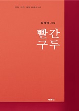 빨간 구두 : 김태영 시집