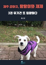 제주 강아지, 탐탐이와 제제 3권