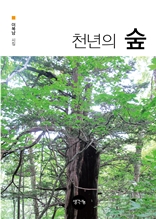 천년의 숲