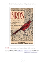 칼라로 보는 새들.Birds Illustrated by Color Photograph, by Various