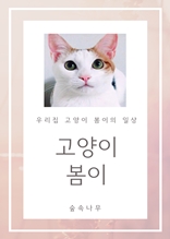 고양이 봄이