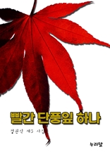 빨간 단풍잎 하나 (갈산 정권식 제3 시집)