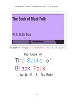 두 보이스의 흑인의 영혼. The Book of The Souls of Black Folk, by W. E. B. Du Bois