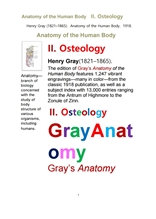 그레이 아나토미의, 제2권 골학 骨學 골해부학.Gray’s Anatomy, II. Osteology. by Henry Gray