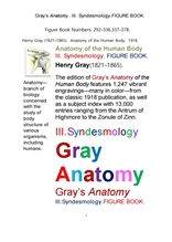 그레이 아나토미의, 제3권 인대학 靭帶學 해부학.도해 圖解 그림책.Gray’s Anatomy . III. Syndesmology.F