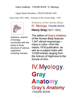 그레이 아나토미의, 제4권 근육학 근학 筋學 해부학.도해 圖解 그림책. Gray’s Anatomy. IV. Myology FIGU