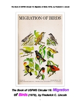 북미에서의 철새들의 이동. The Book of USFWS Circular 16: Migration of Birds (1979), by Frederick C.