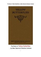 노랑 나비. The Book of Yellow Butterflies, by Mary Raymond Shipman Andrews