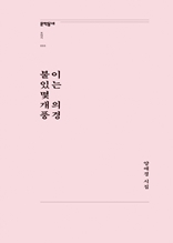 불이 있는 몇 개의 풍경 (문학동네포에지033)