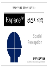 이스페이스-S 공간지각력