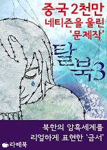 탈북 3