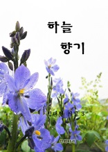 하늘 향기