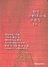 한국 근현대 소설 모음집 13
