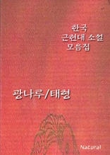 한국 근현대 소설 모음집: 광나루/태형