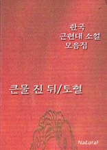 한국 근현대 소설 모음집: 큰물 진 뒤/토혈