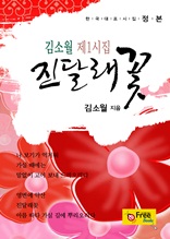 진달래꽃-김소월 제1시집 (한국대표시집-정본)