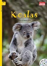 Koalas - Rainbow Readers 3
