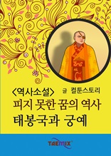 역사소설 피지 못한 꿈의 역사 태봉국과 궁예