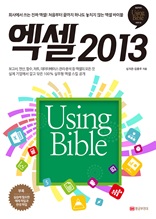 엑셀 2013 Using Bible